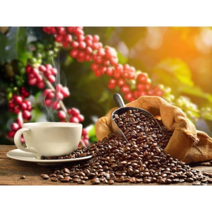 Стъклен панел, предпазващ плота, против пръски, Octopus, 600x500mm, oct203-60x50