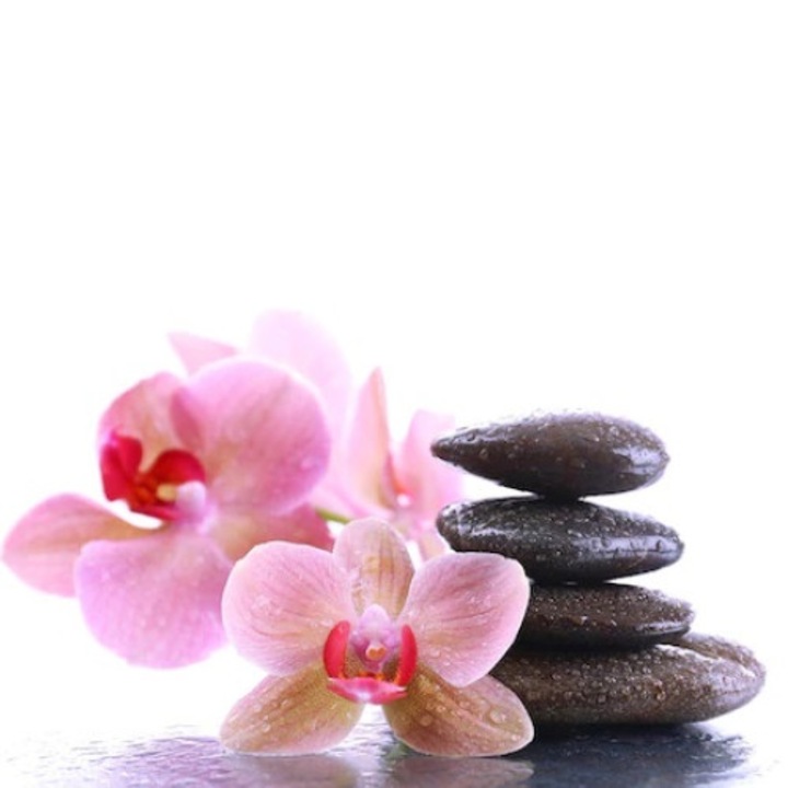 Панел от закалено стъкло, предпазващ плота, против пръски, октопод 600x500мм, oct168-60x50