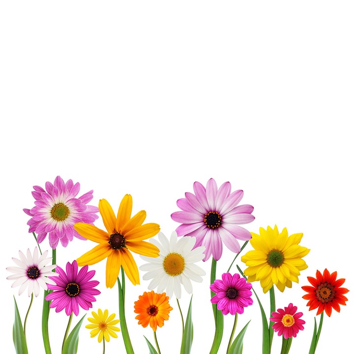 Panou sticla securizata protectie plita, antistropire, octopus 600x500mm, oct205-60x50