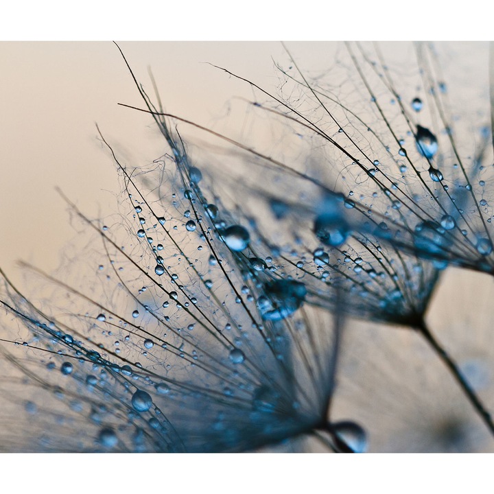 Panou sticla securizata protectie plita, antistropire, octopus 600x500mm, oct223-60x50