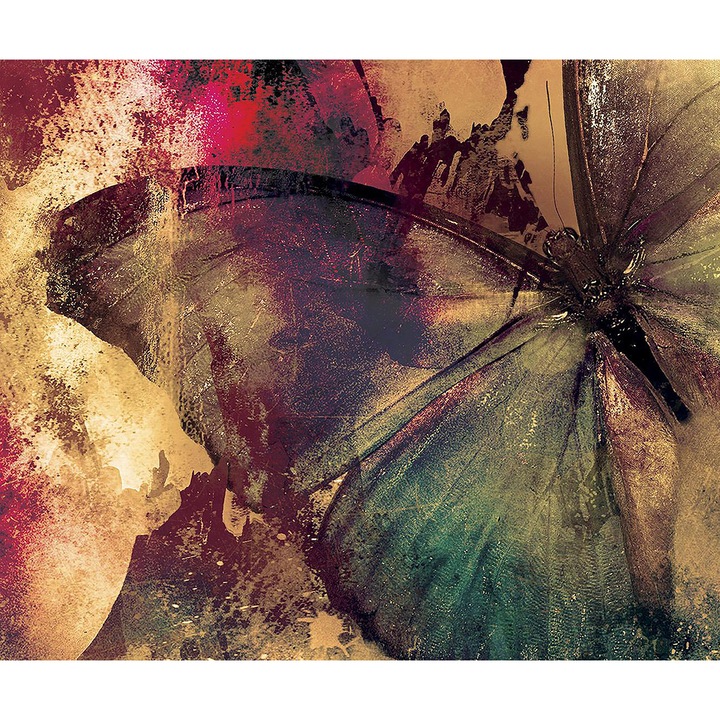 Panou sticla securizata protectie plita, antistropire, octopus 600x500mm, oct221-60x50