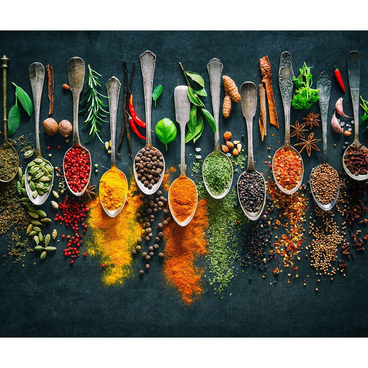 Panou sticla securizata protectie plita, antistropire, octopus 600x500mm, oct218-60x50