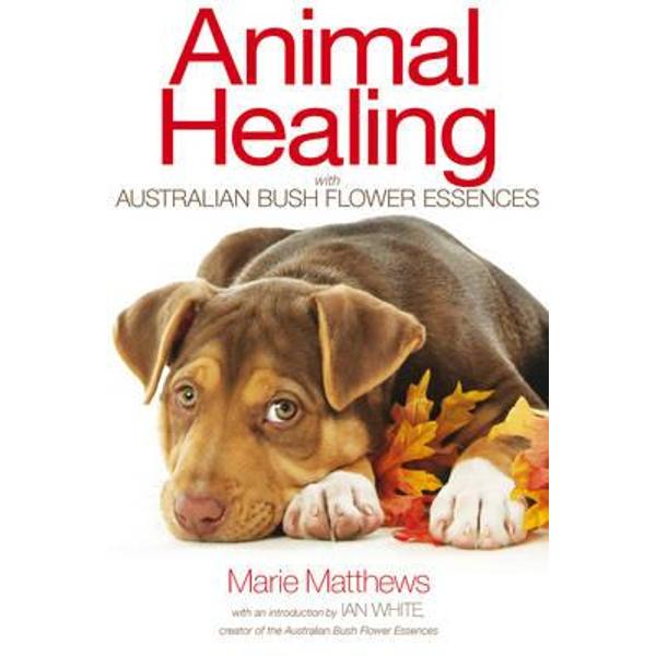 Animal Healing with Australian Bush Flower Essences