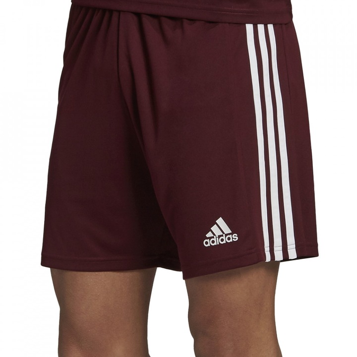 Pantaloni Adidas Squadra 21 barbati, Visiniu