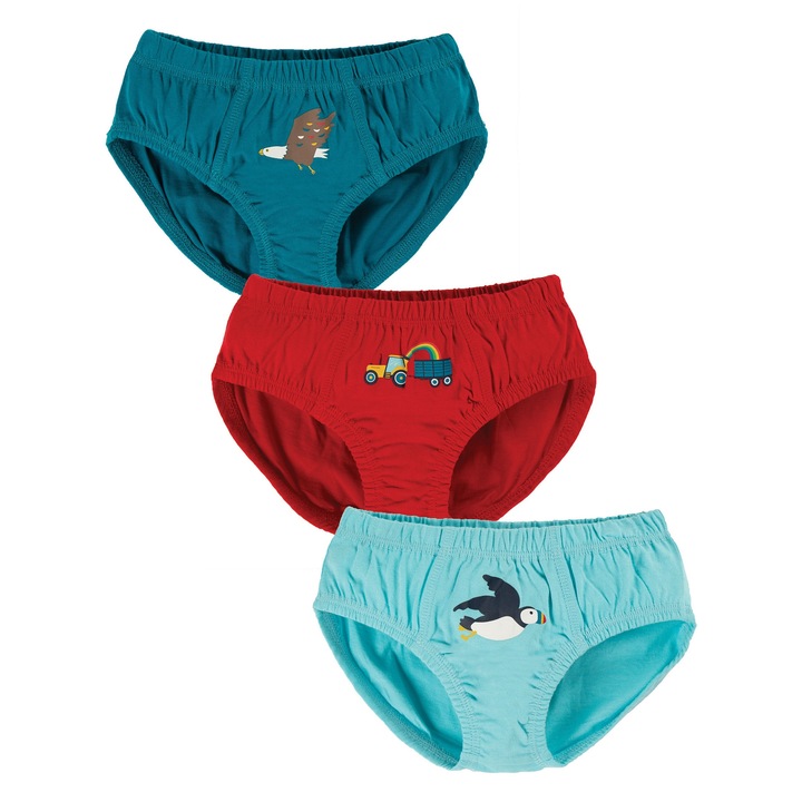 Fiú alsónadrág szett, sasok repülése, biopamut, többszínű, gyerek