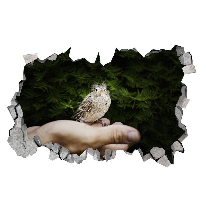 Dekorációs matrica, lyuk a falban 3D, madár, 85 cm, 184STK-1