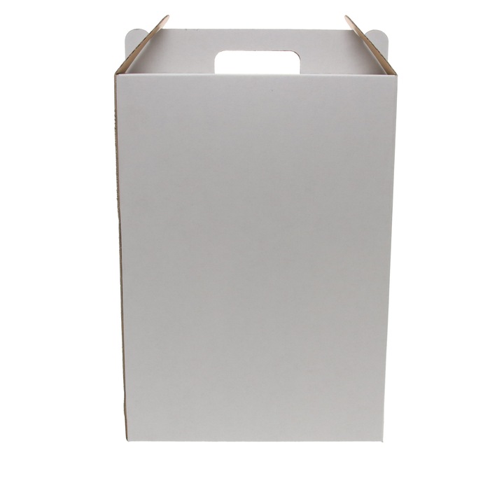Set 10 cutii de carton, DeaSign, cu maner, bag in a box 5L, 183x92x382 mm, alb