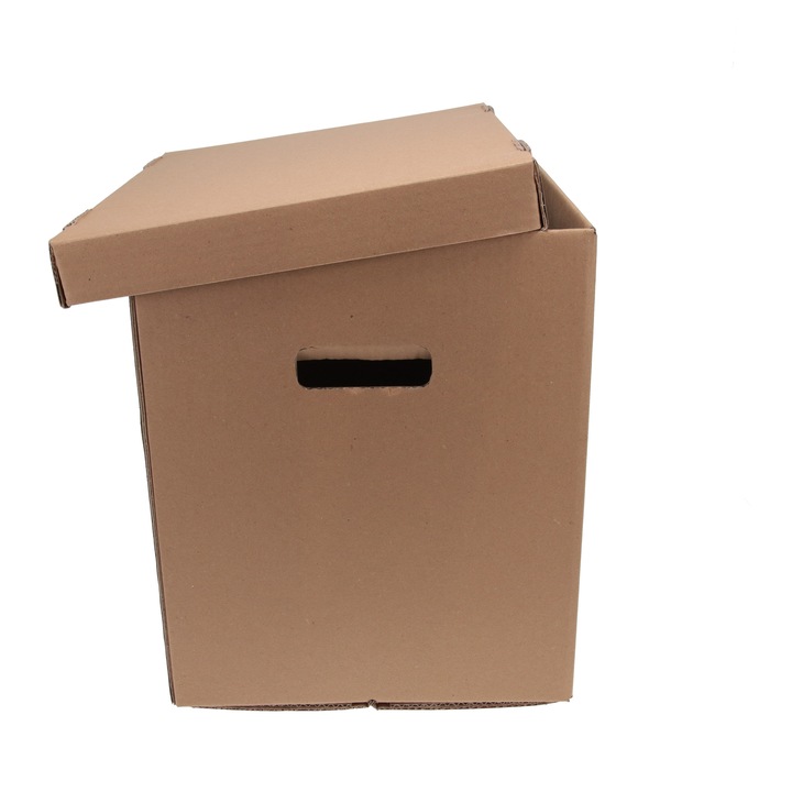 Set 10 cutii de carton cu capac, DeaSign, 335x270x320 mm, maro
