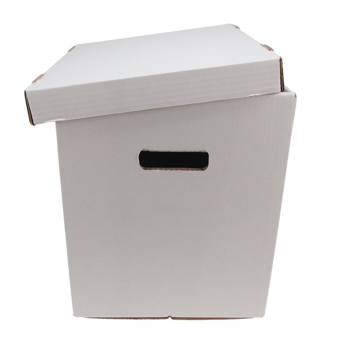 Set 10 cutii de carton cu capac, DeaSign, 335x270x320 mm, alb