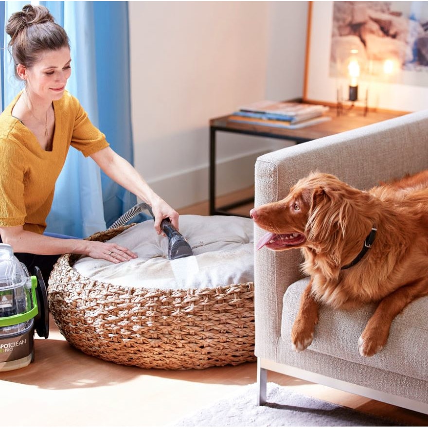 Aspirator cu spalare pentru covoare si tapiterii Bissell Spot Clean PET PRO, conceput pentru indepartarea parului de animale, design compact, 750W, 15585, negru/verde