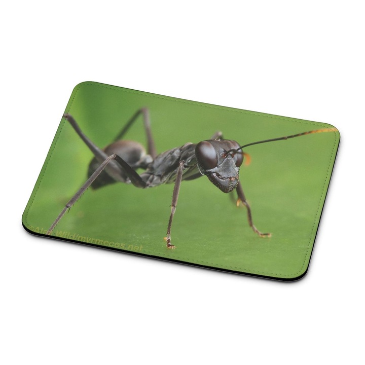 Mouse pad premium Ant 2422
