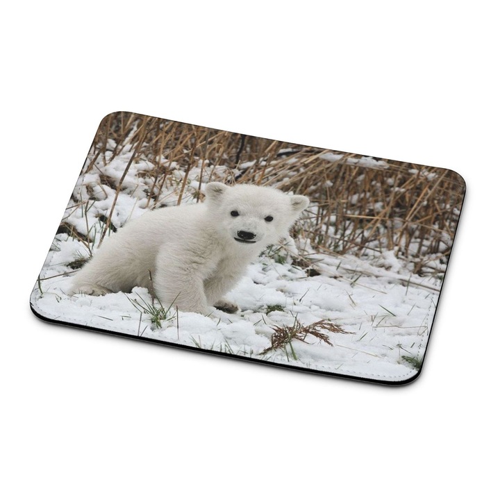 Mouse pad Jegesdve 2522 premium