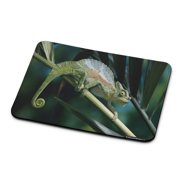 Mouse pad premium Kameleon 4922