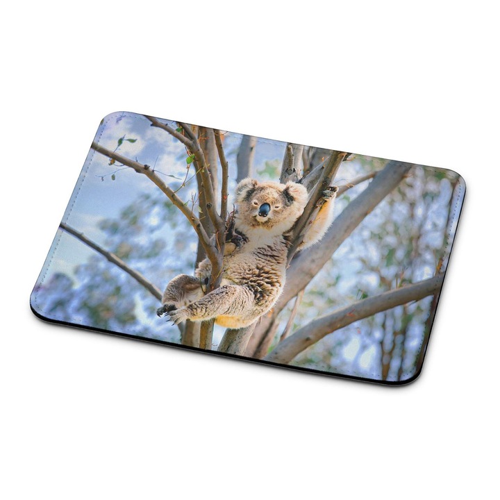 Mouse pad, Mobiltokguru, Koala 1522