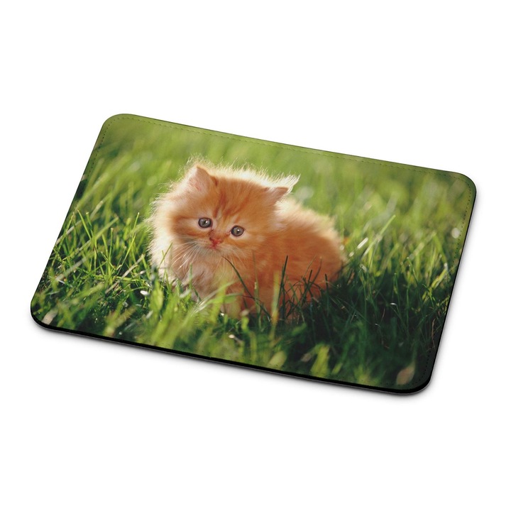Persan Cat 3522 mouse pad premium