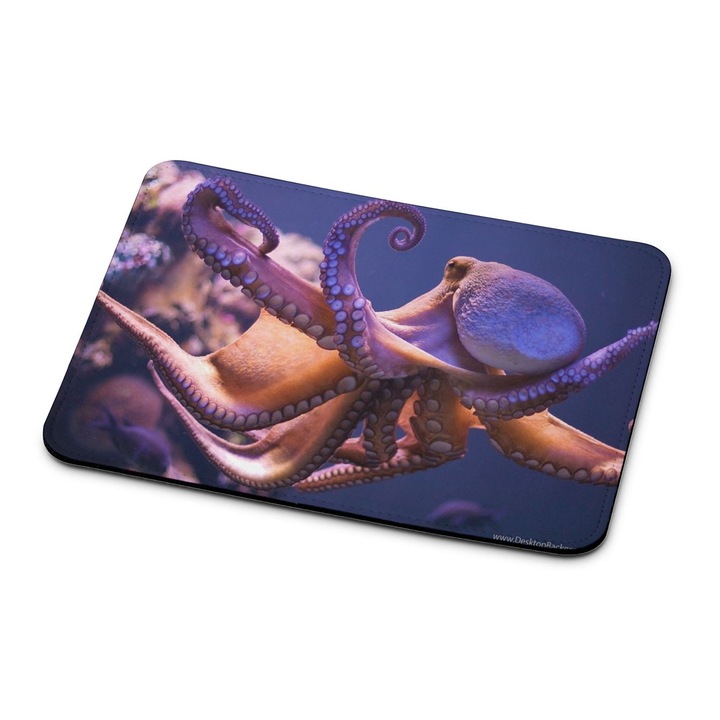 Mouse pad premium Polip 11222