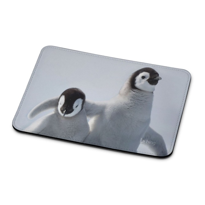 Pingvin 2922 mouse pad premium