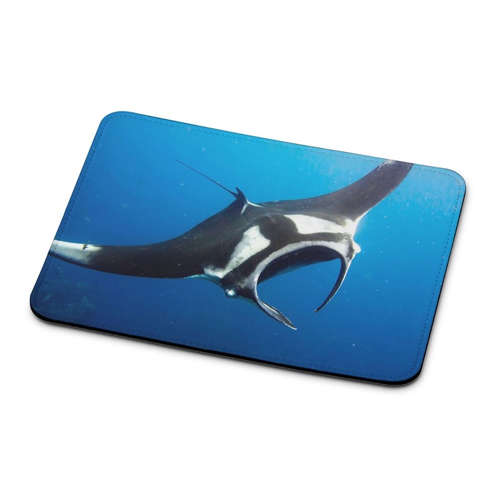 Raja 10922 mouse pad premium