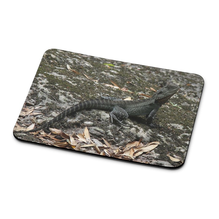 Mouse pad premium Dragon Lizard 1722