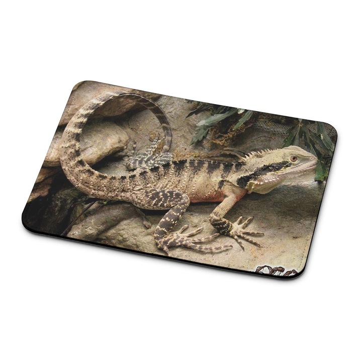 Mouse pad premium Dragon Lizard 2422
