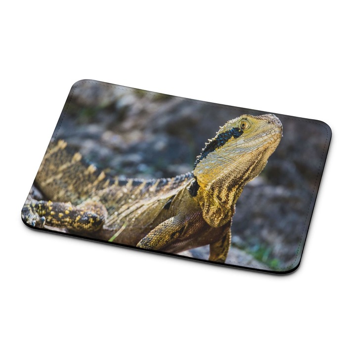 Mouse pad premium Dragon Lizard 1822