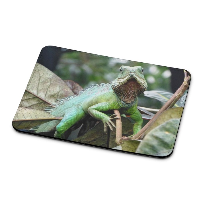 Mouse pad, Mobiltokguru, Dragon Lizard 2922