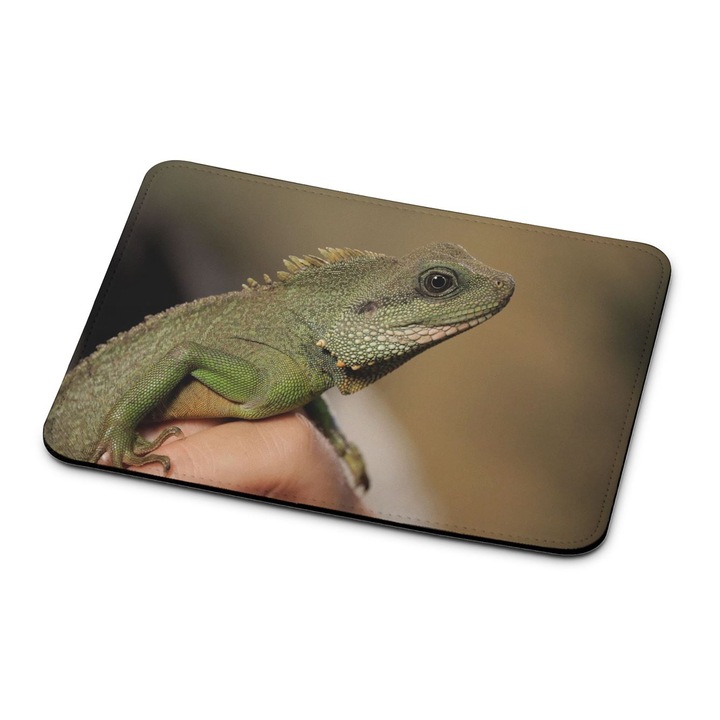 Mouse pad premium Dragon Lizard 2322