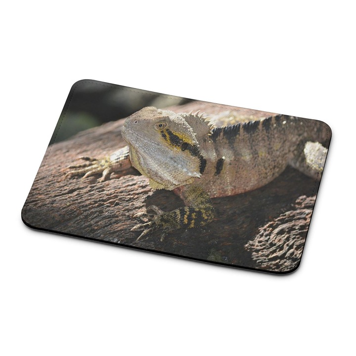 Mouse pad premium Dragon Lizard 1922