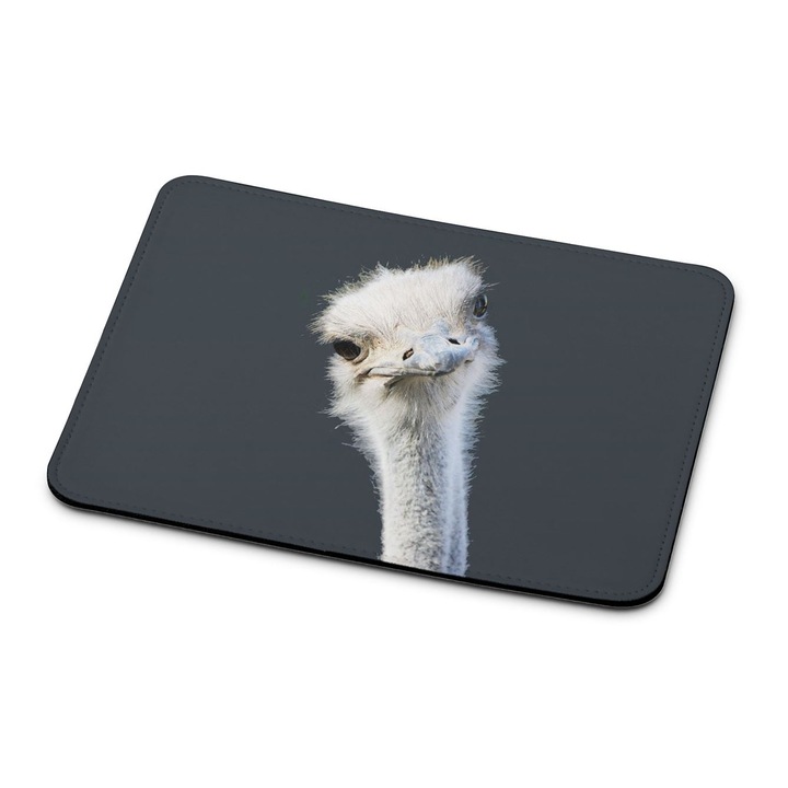 Mouse pad premium Ostrich 10522