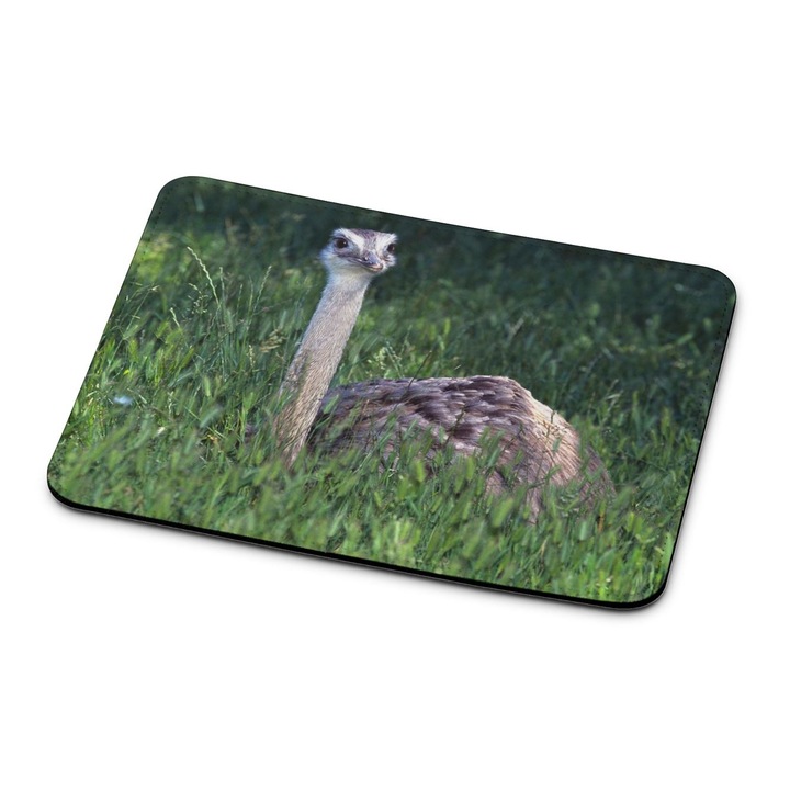 Mouse pad premium Ostrich 13222