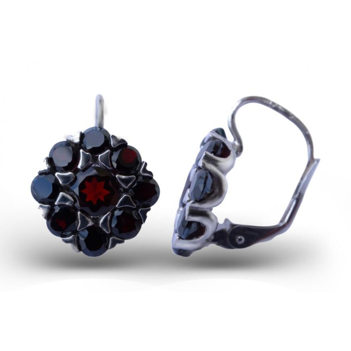 Дамски Обеци A-B, Сребро 925, Гранат