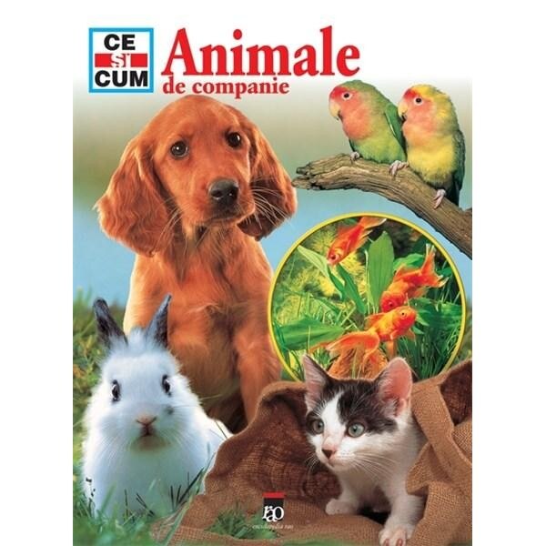 Animale De Companie - Tessloff