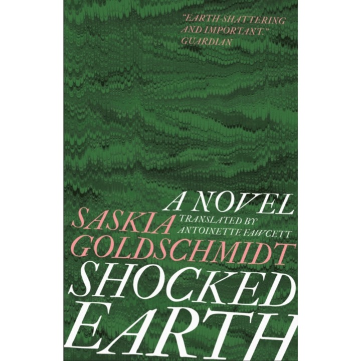 Shocked Earth de Saskia Goldschmidt