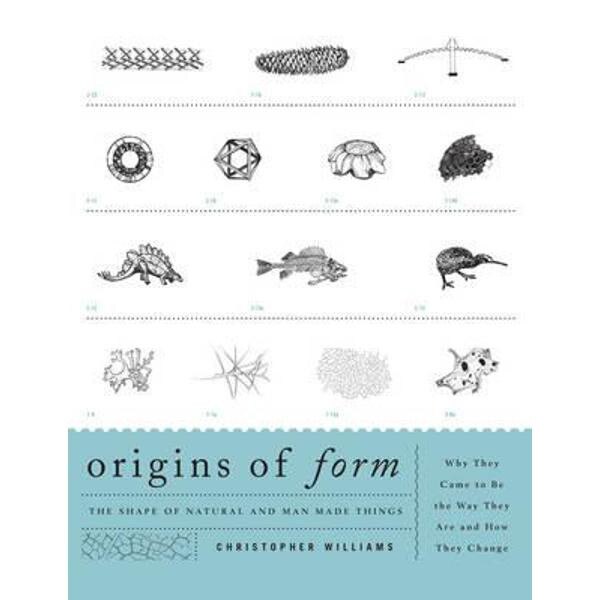 Origins of Form
