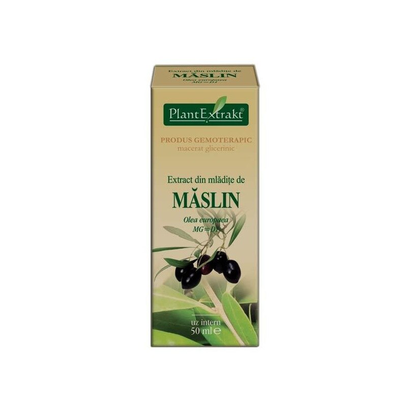 Extract din Mladite de Maslin, 50 ml, Plantextract