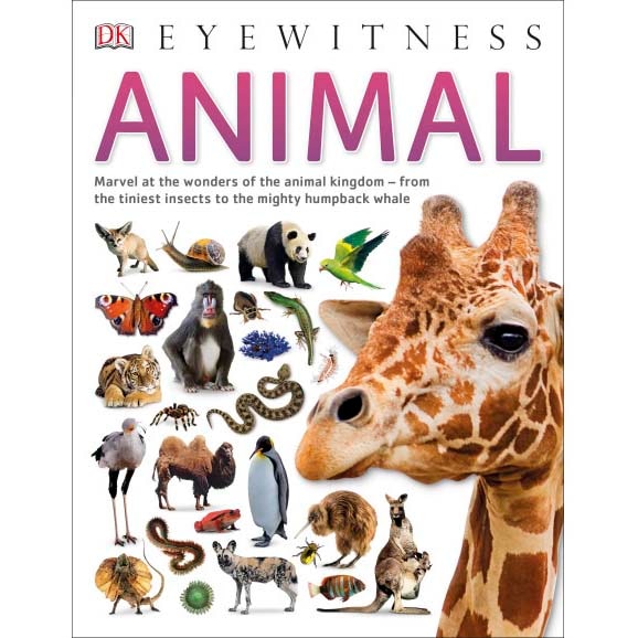 Animal (Eyewitness)