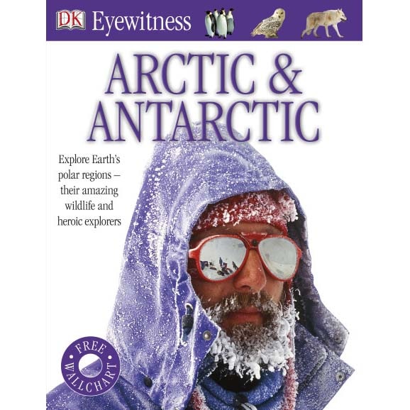 Arctic and Antarctic (Eyewitness)