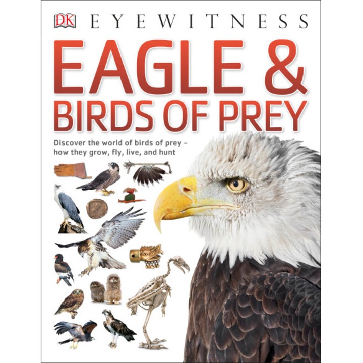 Eagle and Birds of Prey