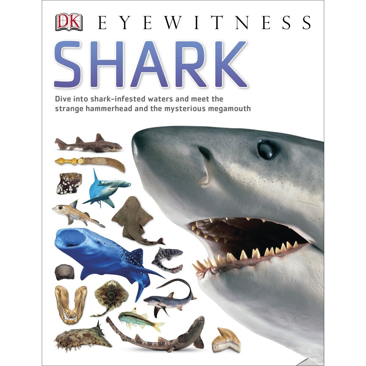 Shark (Eyewitness)