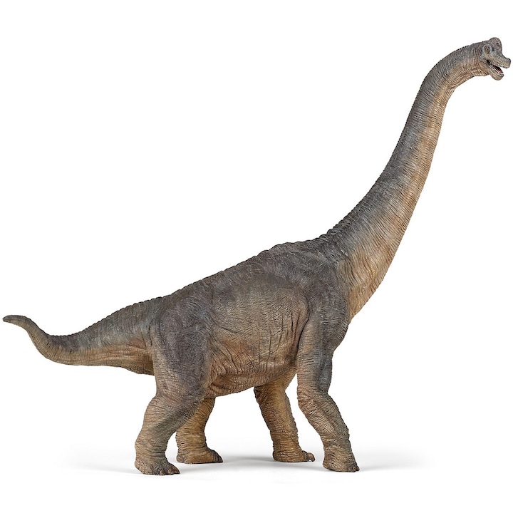 Figurina Papo - Dinozauri, Brachiosaurus