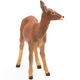 Figurina Papo - Animale salbatice, Caprioara