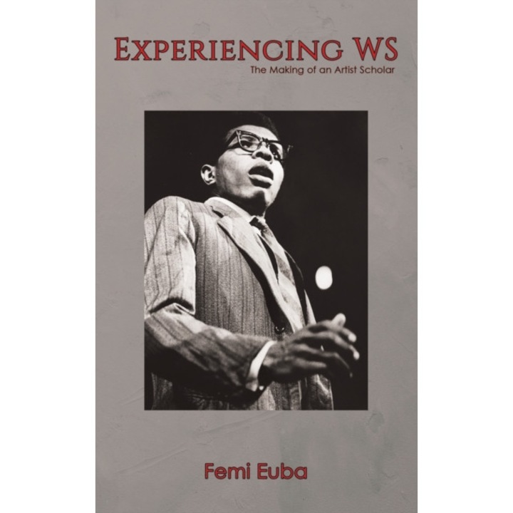 Experiencing WS de Femi Euba