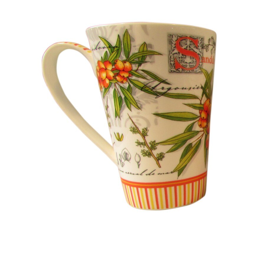 Cana Inalta Colectia Catina