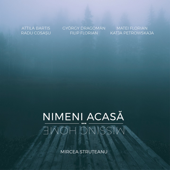 Nimeni acasa / Missing Home, Mircea Stuteanu