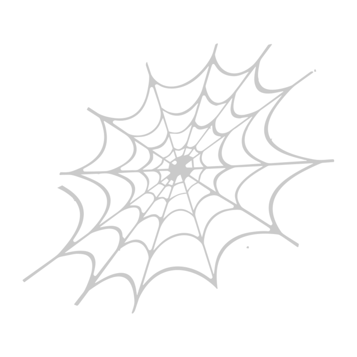Sticker auto ''Spider'', 20x20 cm, Alb