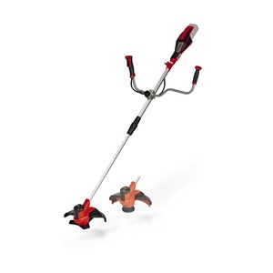Coase electrice si Motocoase