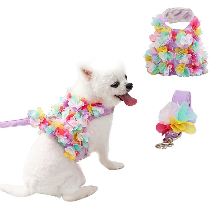 Set Ham si lesa Rainbow, pentru caini si pisici, L, Multicolor