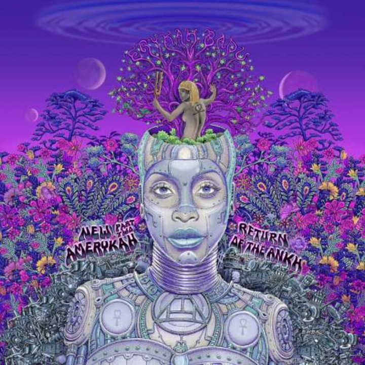 Erykah Badu - New Amerykah.. -coloured- (2LP)