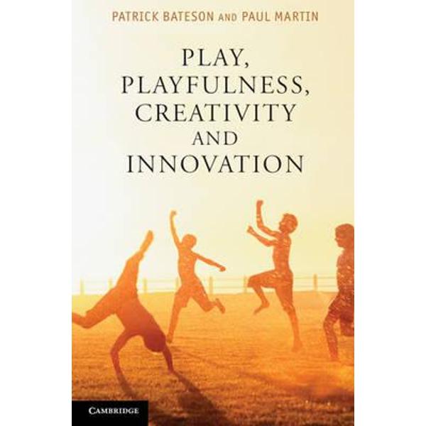 Play, Playfulness, Creativity and Innovation