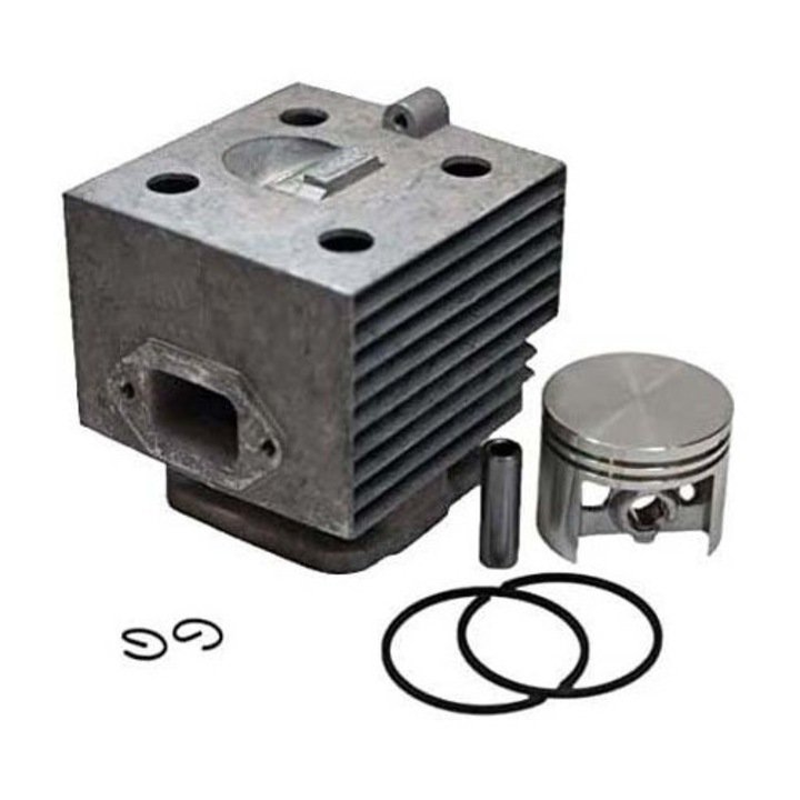Set motor, Terra Motors, compatibil cu atomizor Stihl SR 420 46mm